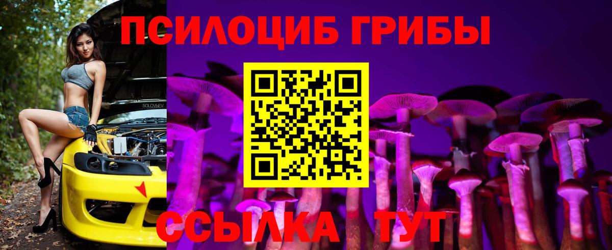 Псилоцибиновые грибы Тула